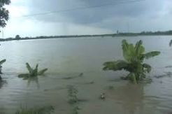Diterjang Banjir Bandang, Belasan Petani di Aceh Terseret Arus