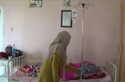DBD Mewabah di Polman, 2 Meninggal Dunia 11 Masih Dirawat Intensif