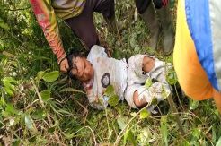 Marak Pencurian Kulit Manis di Kerinci, Petani Meradang