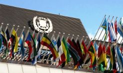 Pelni: Sebagai Anggota Dewan IMO, Posisi Maritim Indonesia Makin Kuat