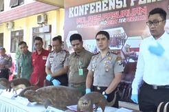 Kebun Binatang Mini di Pasuruan Digerebek, 20 Satwa Langka Disita