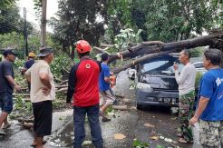 Hujan Disertai Angin Kencang Terjang Yogyakarta, Puluhan Rumah Rusak
