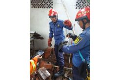 Ngeri, Puluhan Anak Ular Kobra Teror Warga Citayam