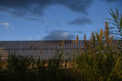 Hakim Halangi Transfer Rp50 Triliun untuk Dinding Perbatasan
