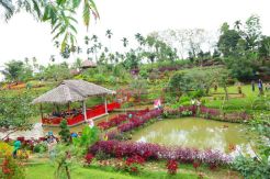 5 Spot Instagrammable di Medan dan Sekitarnya yang Wajib Dituju