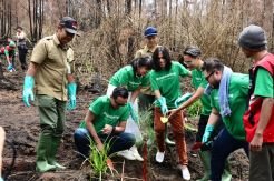 Band Barasuara Tanam Bibit Pohon Cemara Hutan di Gunung Ijen