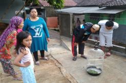 Ular Bangke Laut Teror Warga Citayam, Burung Lovebird Dimakan