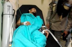 Tengah Sisir Perumahan, Ketua Team Rescue Kritis Dipatuk Kobra