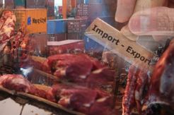 Pemerintah Buka Kuota Impor Daging Kerbau 60.000 Ton