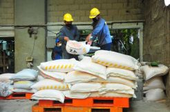 Pasokan Pupuk Bersubsidi Jabar-Banten Dijamin Aman Jelang Musim Tanam