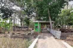 Hutan Jati Binong, Saksi Bisu Jejak Ratu Pajajaran Nyai Subang Larang
