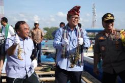 Simpang Siur Ekspor Benih Lobster, KKP: Belum Ada Keputusan Final