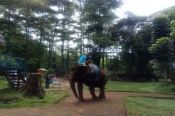 Libur Natal-Tahun Baru, Wisata Outdoor Optimistis Jumlah Kunjungan Naik