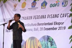 Dorong Ekspor Pertanian, Pemerintah Kembangkan Kawasan Hortikultura