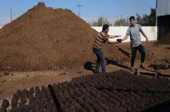 Para Pemuda Gaza Ini Mengubah Sampah Menjadi Emas
