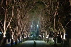Wisata Alam Kabupaten Bone Bolango Menarik dan Menantang