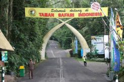 Diguyur Hujan, Sejumlah...