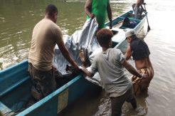 Diterkam Buaya, Kedua Tangan dan Kaki Kiri Siswa SMP di Papua Barat Hilang