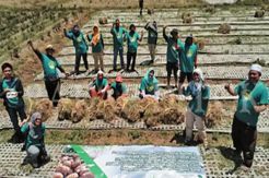Pupuk Organik Cair Tingkatkan Kesejahteraan Petani Sembalun