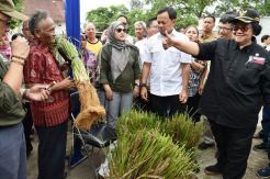 Atasi Longsor, Pemerintah Giatkan Penghijauan dan Konservasi