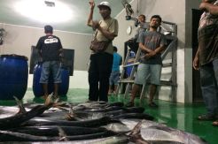 Kontribusi PLTU bagi Perekonomian Daerah