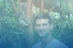 Kebakaran di Australia Mengerikan, ATP Donasikan Rp 6,8 Miliar