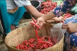 Dampak Cuaca Buruk, Harga Cabai di Kota Pasuruan Melangit