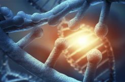 Sekali Terapi Stem Cell, Pasien Dikenakan Biaya Rp250 Juta