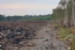 Dituduh Jadi Pelaku Pembakaran Hutan, Warga Minta Perlindungan ke Kapolri