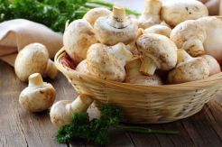 Jamur Penting untuk Diabetes?