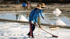 Tingkatkan Kesejahteraan Petambak Garam, KKP Dorong Program PUGAR