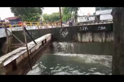 Tak Kuat Tampung Air, Tanggul Kali di Tanjung Duren Jebol