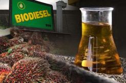 Sejak Ada B20, Porsi Domestik Terhadap Konsumsi Minyak Sawit Meningkat