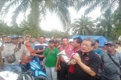 Konfik Petani lawan Perusahaan HTI di Riau Dilaporkan ke Presiden Jokowi