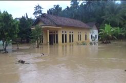 Tanggul Sungai Jebol, Perkampungan di Tanggamus Tersapu Banjir