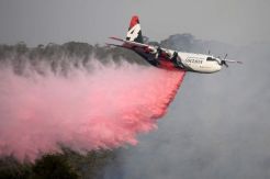 Pesawat Pemadam Kebakaran Jatuh di Australia, 3 Petugas AS Tewas