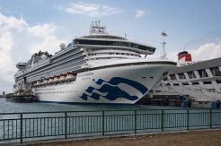 Bidik Wisatawan Indonesia, Princess Cruises Hadirkan Berbagai Paket Pesiar Menarik
