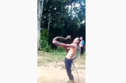 Pamer Kemampuan, Pawang Ular di Mempawah Tewas Dipatok King Kobra