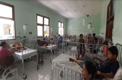 Penderita Capai 229 Orang, RSUD TC Hillers Maumere NTT  Dipenuhi Pasien DBD