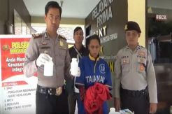 Janda di Gunung Bromo Jual Pil Koplo untuk Biayai Anak dan Pakai Sendiri