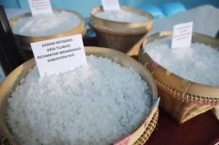 Harga Garam Jatuh, Pemerintah Janji Tak Biarkan Petambak Sengsara