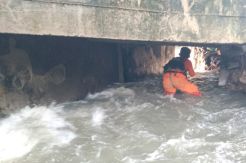 Terpeleset, Bocah 6 Tahun Hilang Terseret Arus di Batu Ceper
