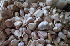 Harga Bawang Putih di Pasar Induk Kramat Jati Melonjak