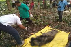 Mayat Tanpa Identitas Ditemukan di TPU Kampung Singapadu Serang