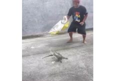 Warga Tangkap Anak Buaya yang Masuk ke Selokan
