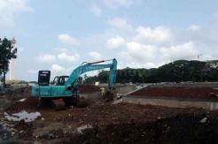 Pangkas 190 Pohon di Monas, DKI Ganti 300 Tanaman
