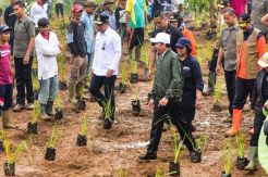 Pemerintah Intensif Hijaukan Kembali Bekas Lahan Longsor