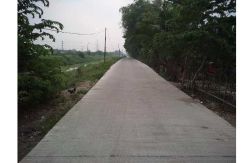 Tahun Ini, Pemkab Serang Tuntaskan Betonisasi Jalan 585,13 KM