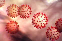 Virus Corona Belum Ditemukan di Indonesia, Ini Penjelasan Kemenkes