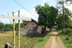 Misteri Hutan Jati Binong dan Jejak Sang Ratu Pajajaran
